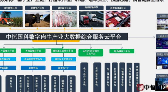 中恒国科|数字肉牛信息化管理平台，助力吉林千万头肉牛工程