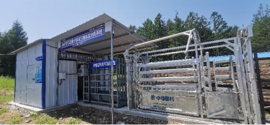 中恒国科肉牛三维体况智能测量系统核心价值及应用
